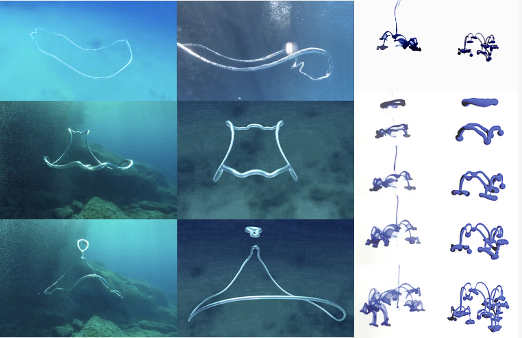 On Bubble Rings and Ink Chandeliers (SIGGRAPH 2019)