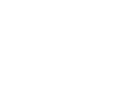 dgd-logo white